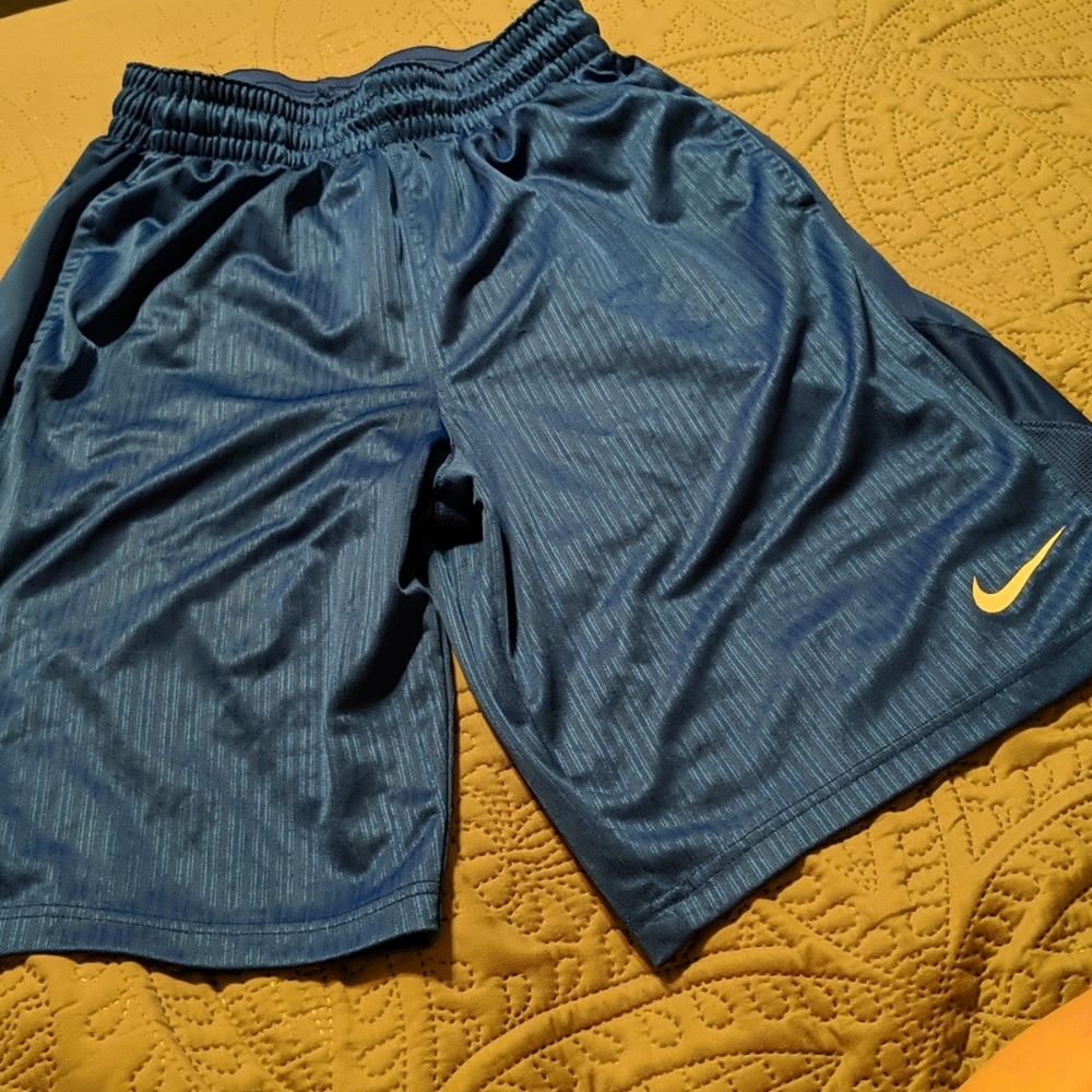 Nike Blue Shorts